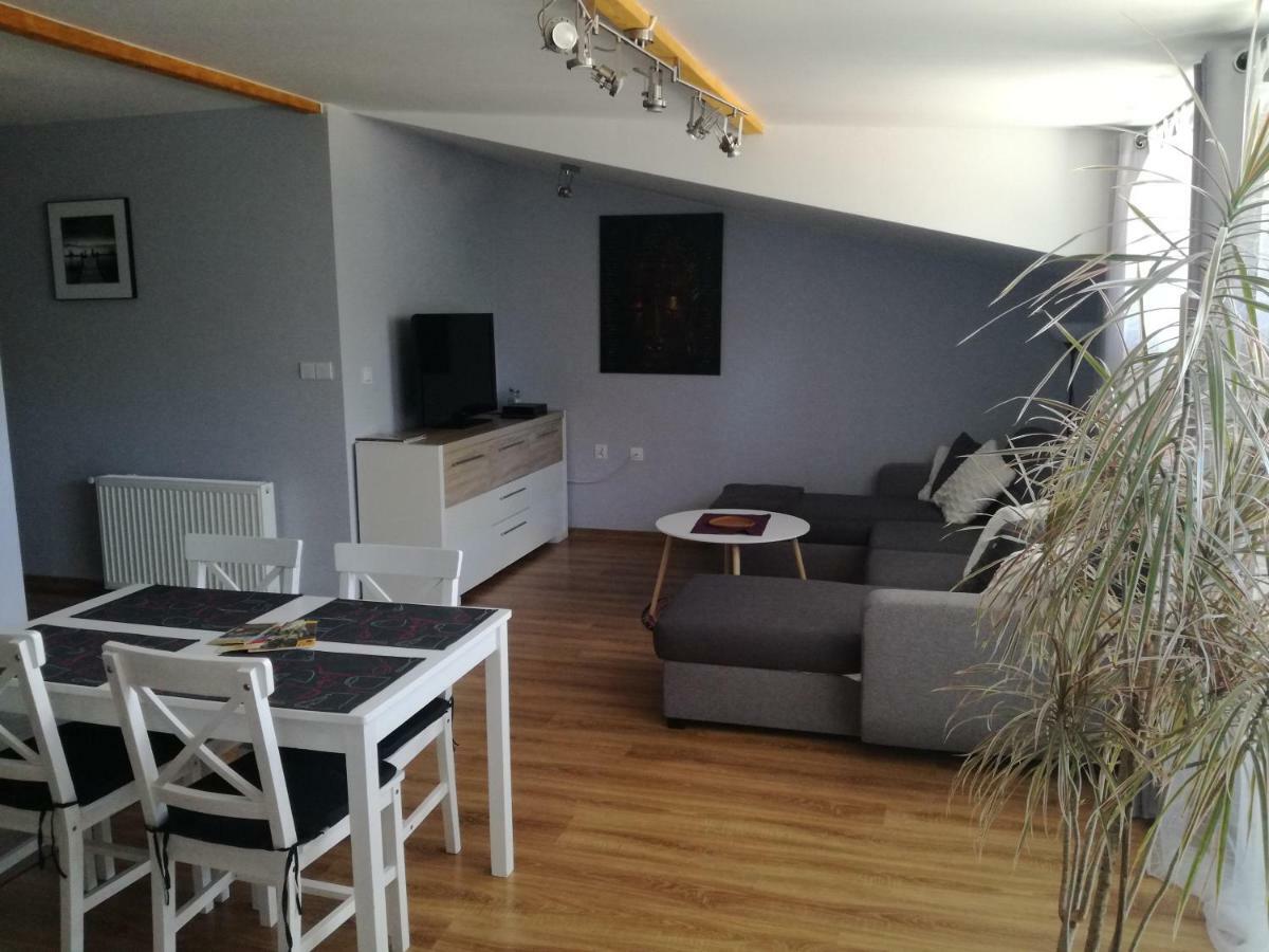 Apartamenty Pod Dzikowcem Богушув-Горце Экстерьер фото